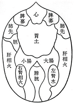 夢分流腹診